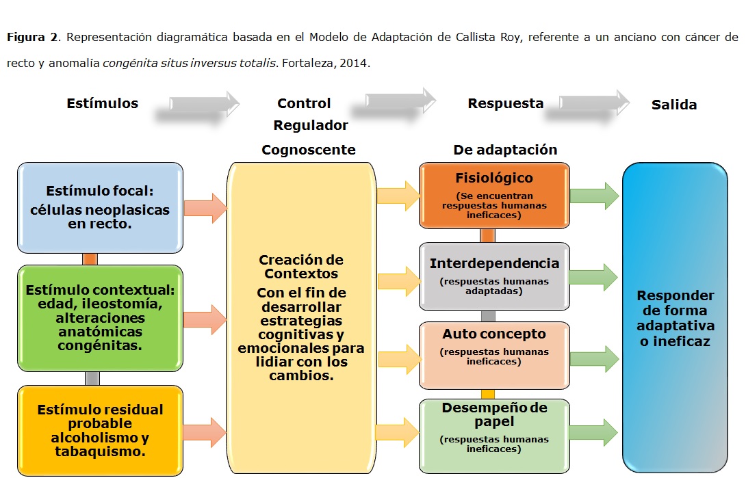 Idoso com situs inversus totalis e câncer de reto: estudo de caso