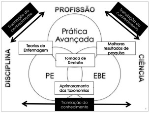 Figura 1
